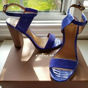 COACH blue sandals
